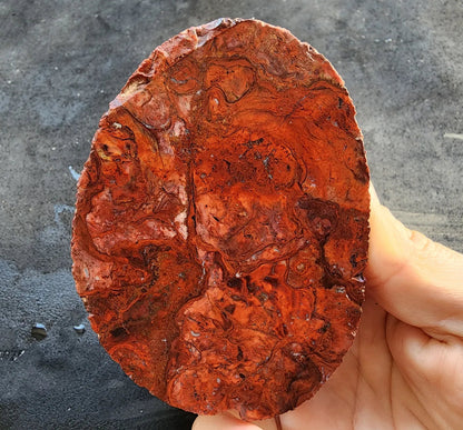 Agatized Jasper