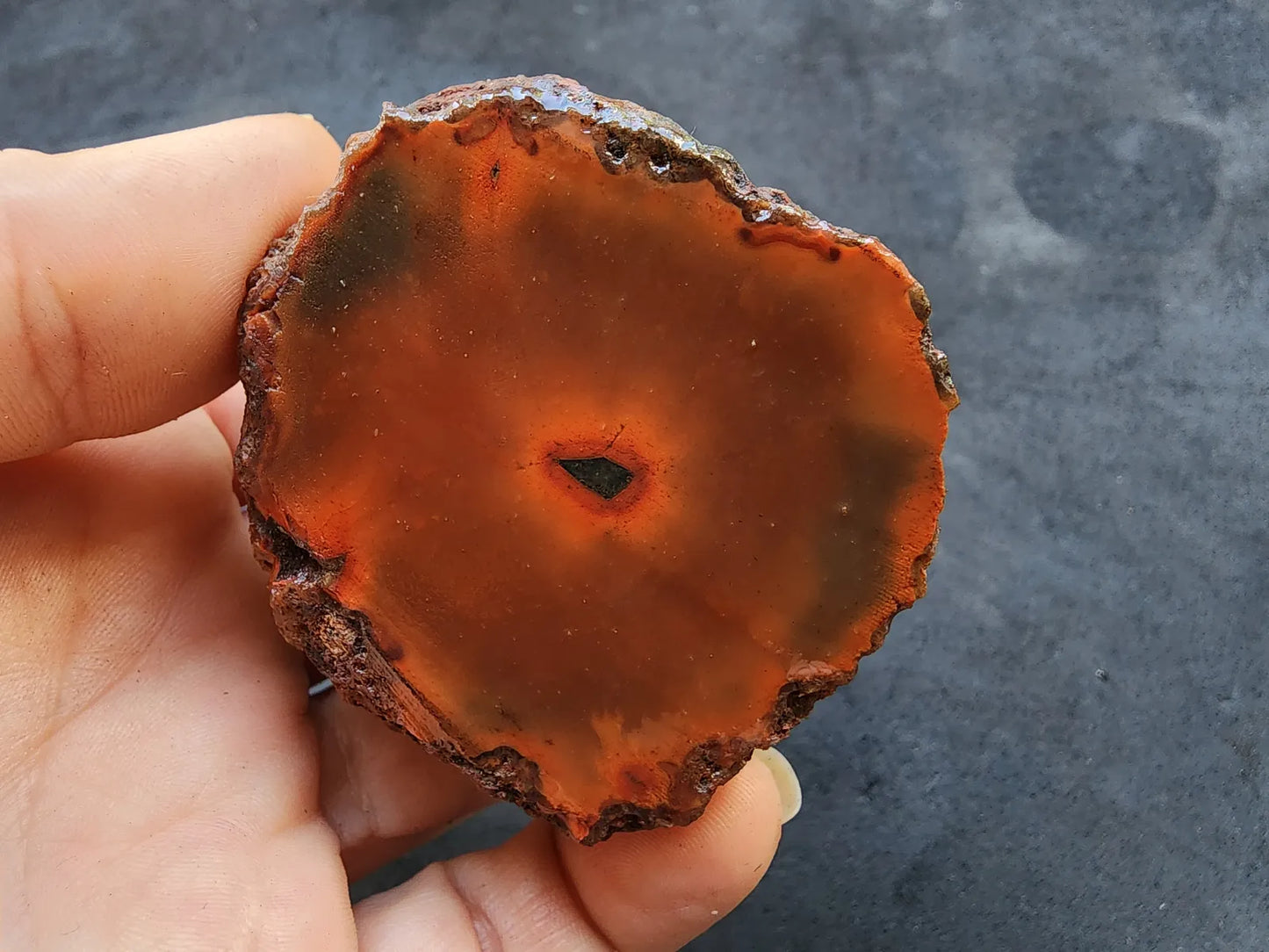 Red Agate - Black Sea Agate