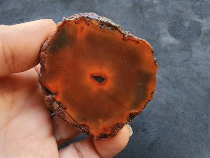 Red Agate - Black Sea Agate