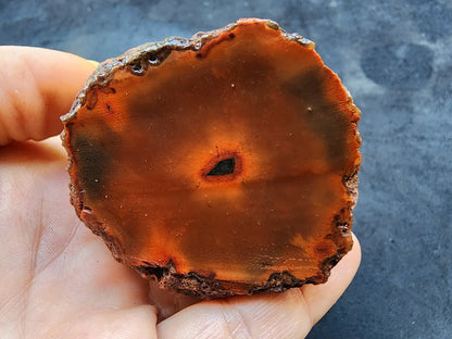 Red Agate - Black Sea Agate