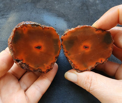 Red Agate - Black Sea Agate