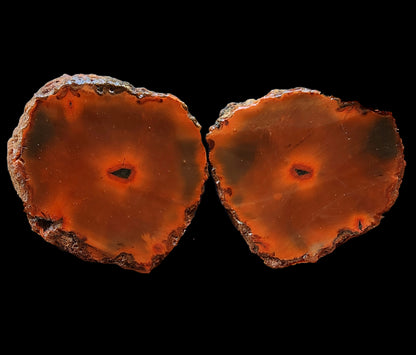 Red Agate - Black Sea Agate