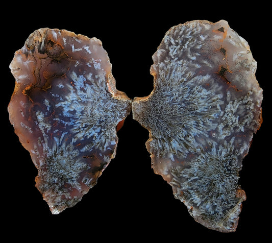 Sagenite Agate