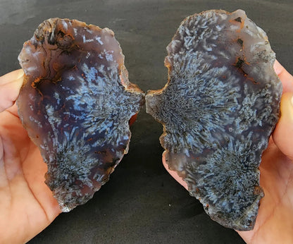 Sagenite Agate