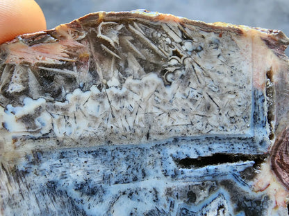 Gateway - Gravure Agate
