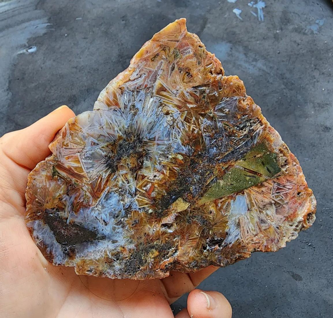 Sagenite Agate