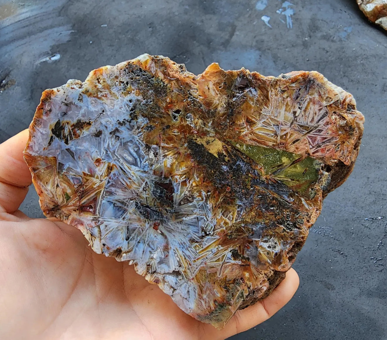 Sagenite Agate