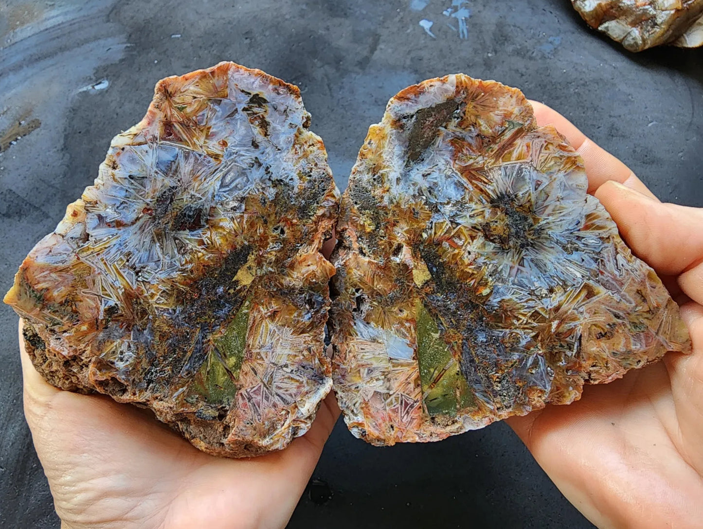 Sagenite Agate