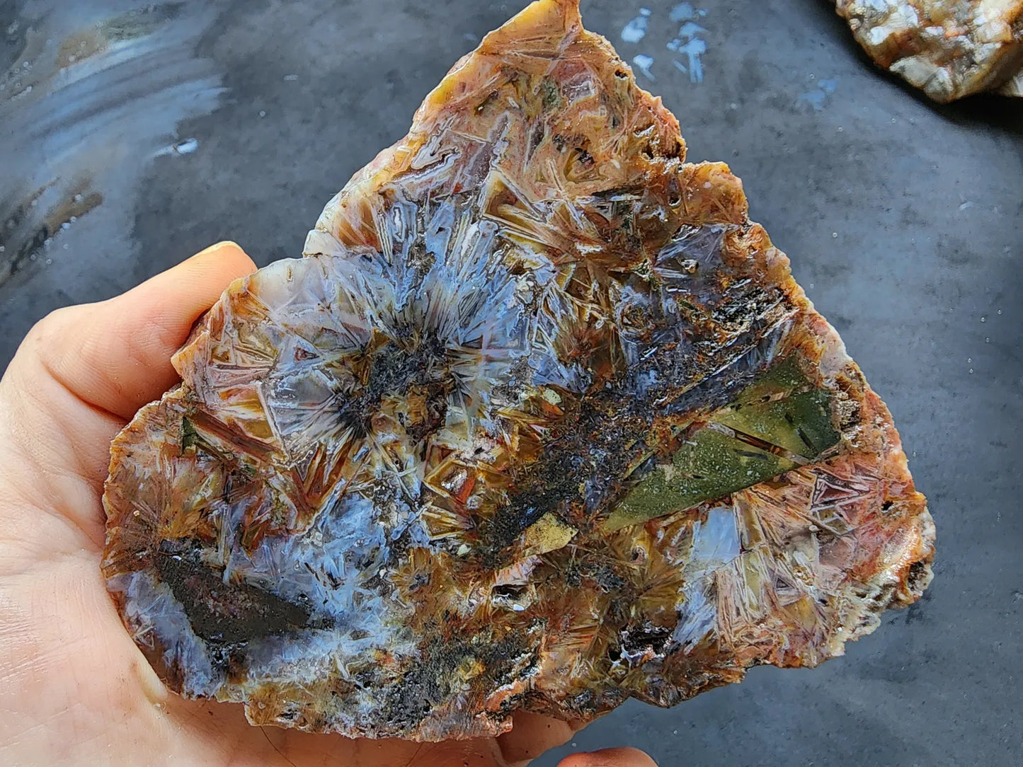 Sagenite Agate