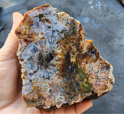 Sagenite Agate