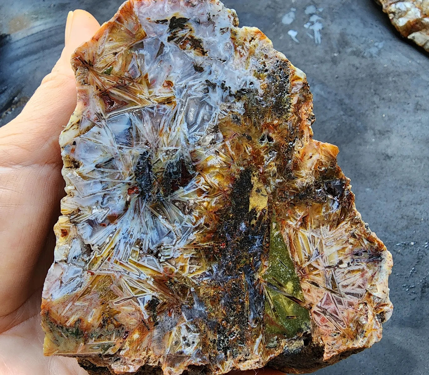 Sagenite Agate