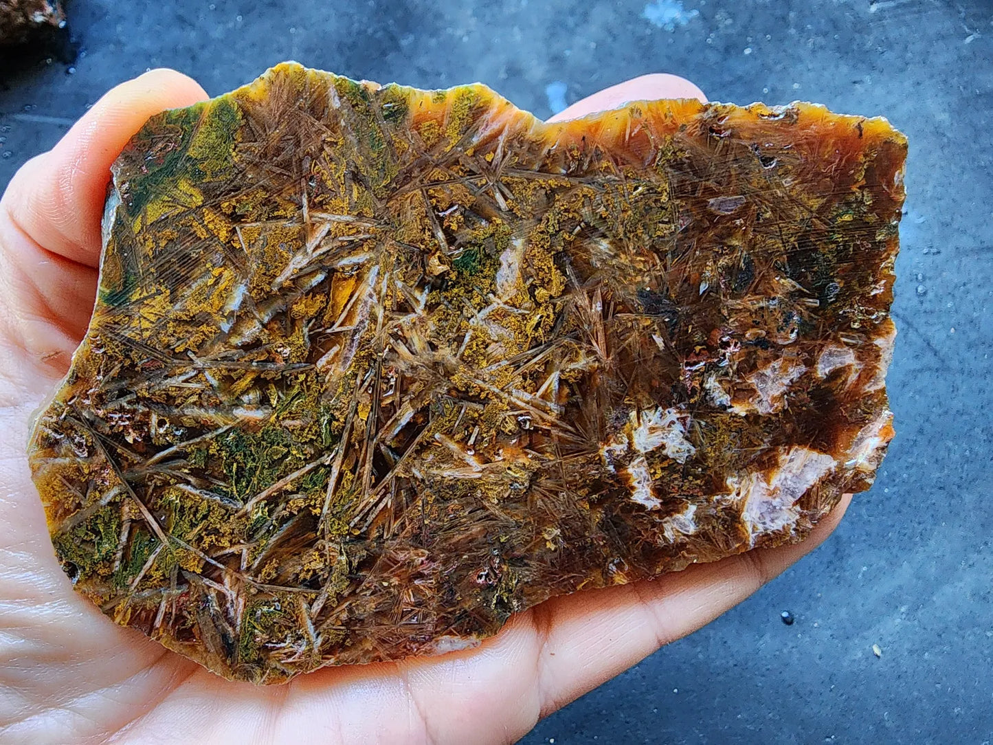 Sagenite & Moss Agate