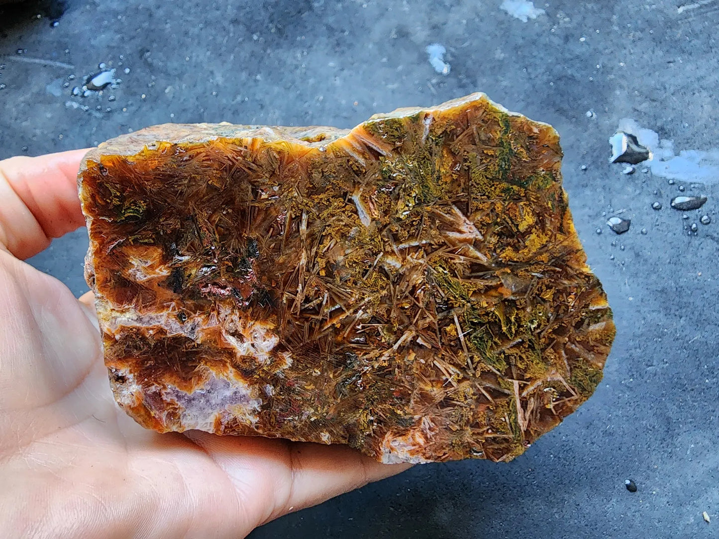 Sagenite & Moss Agate