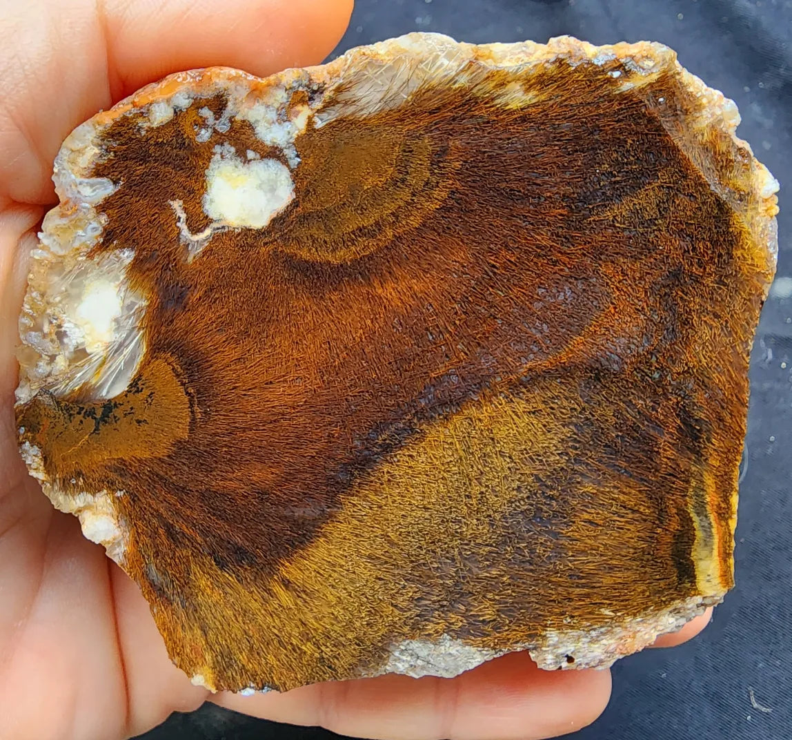 Sagenite Agate Pair