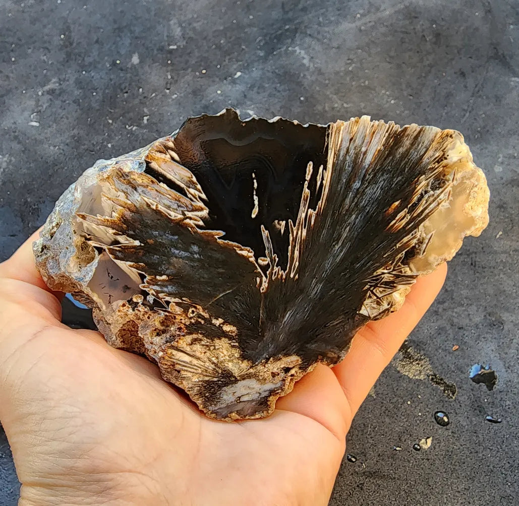 Radial Agate Stone