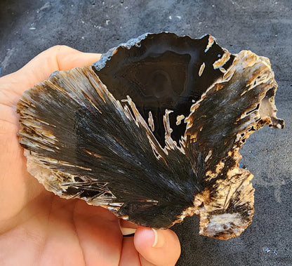 Radial Agate Stone