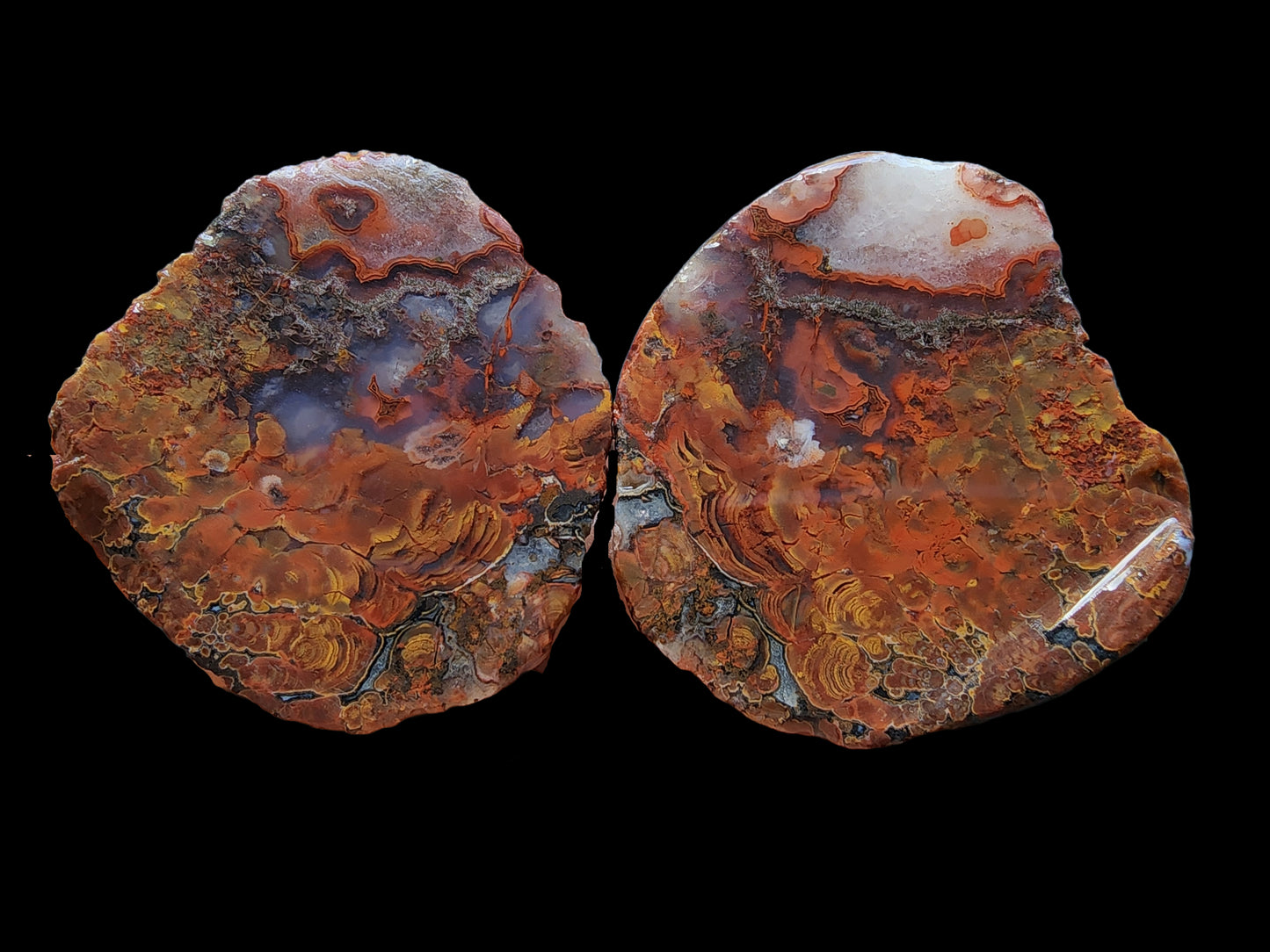 Stromatolite Fossil Agate
