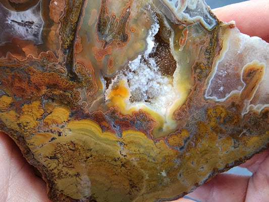 Stromatolite Fossil Agate