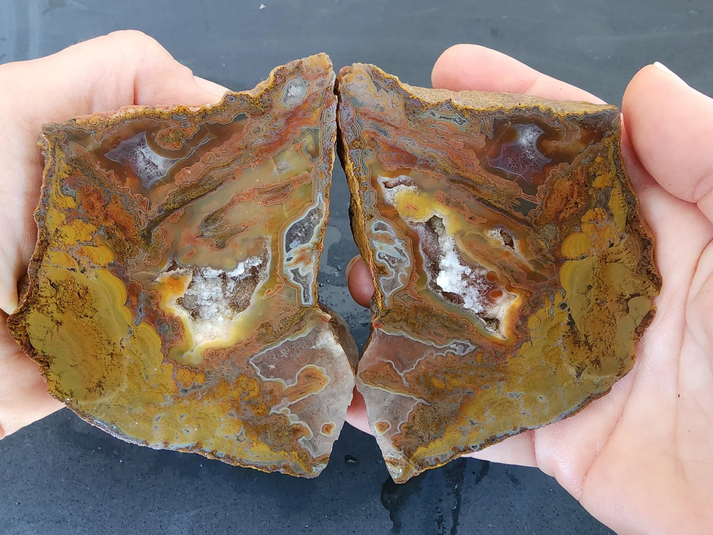 Stromatolite Fossil Agate