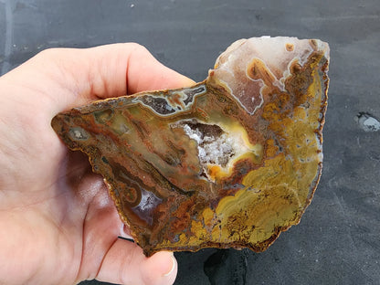 Stromatolite Fossil Agate