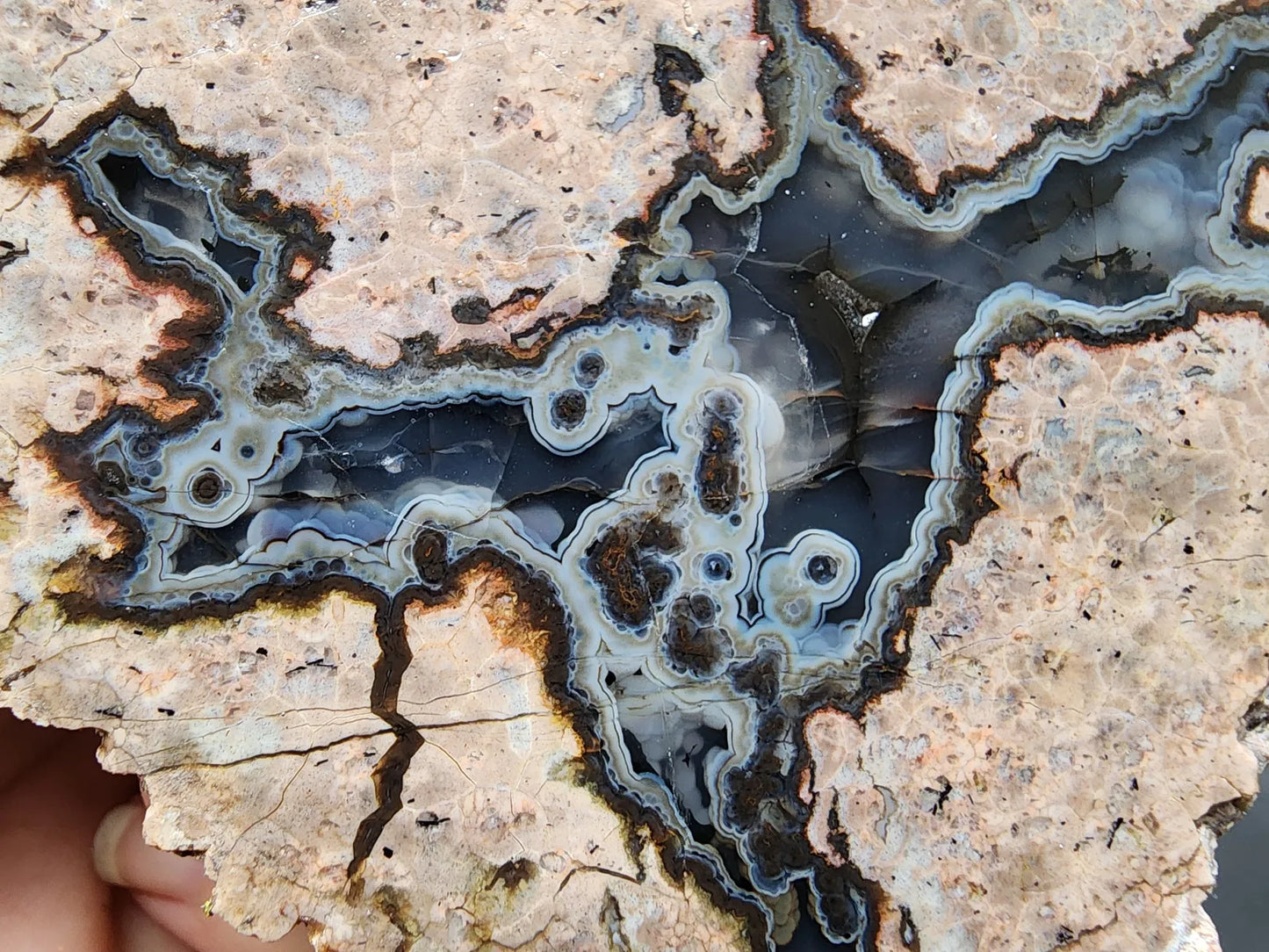 Rorschach Agate