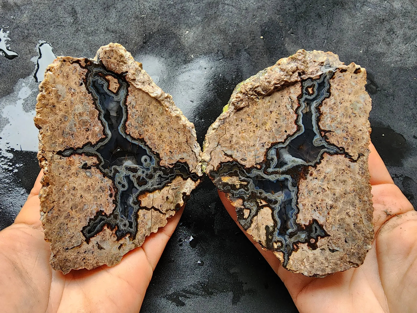 Rorschach Agate