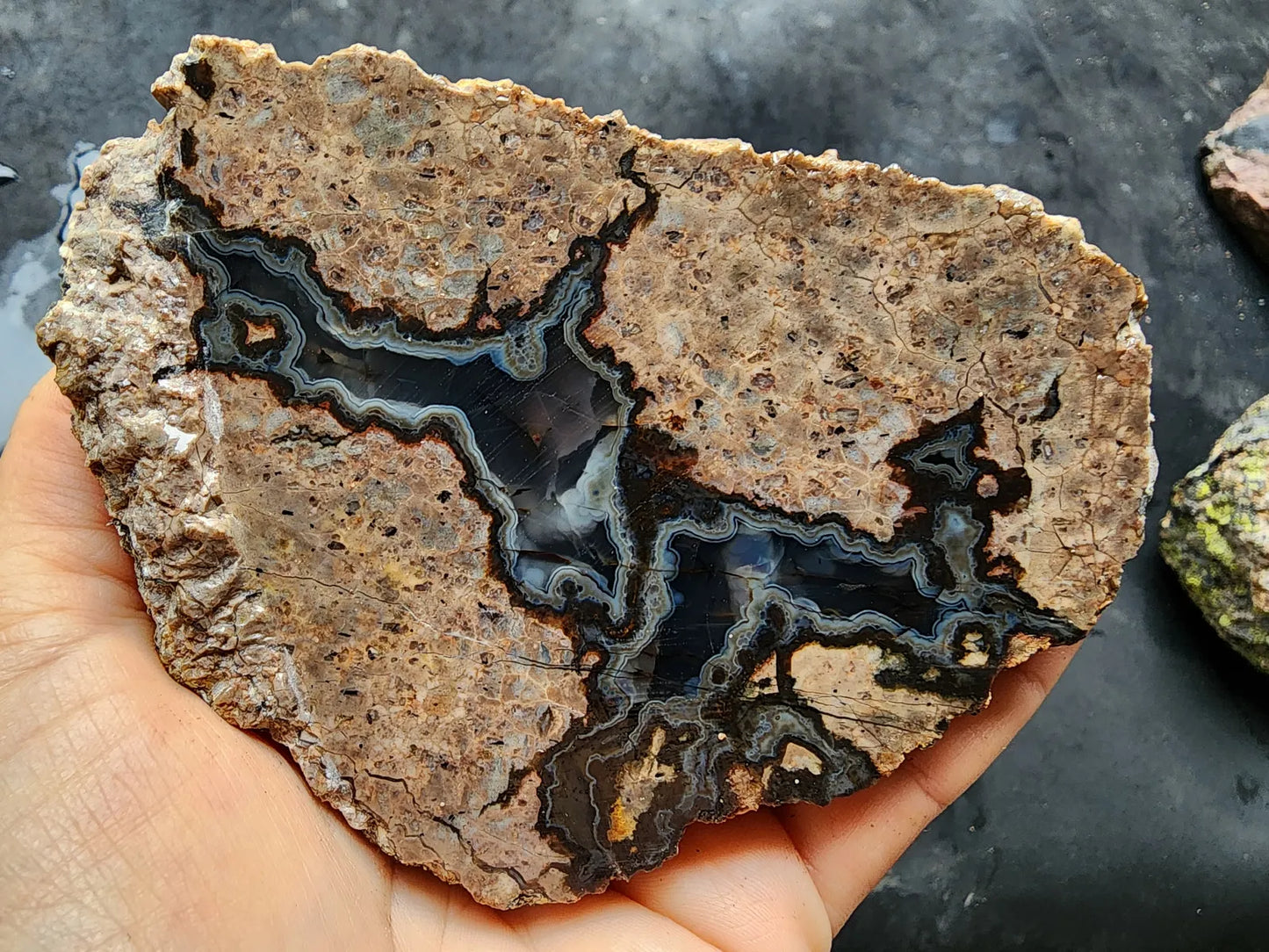 Rorschach Agate