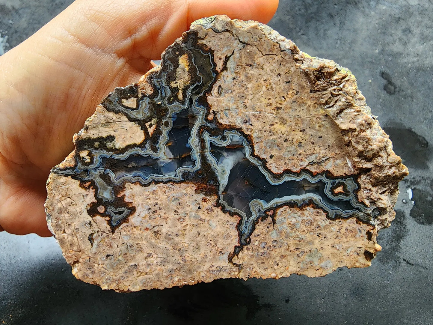 Rorschach Agate