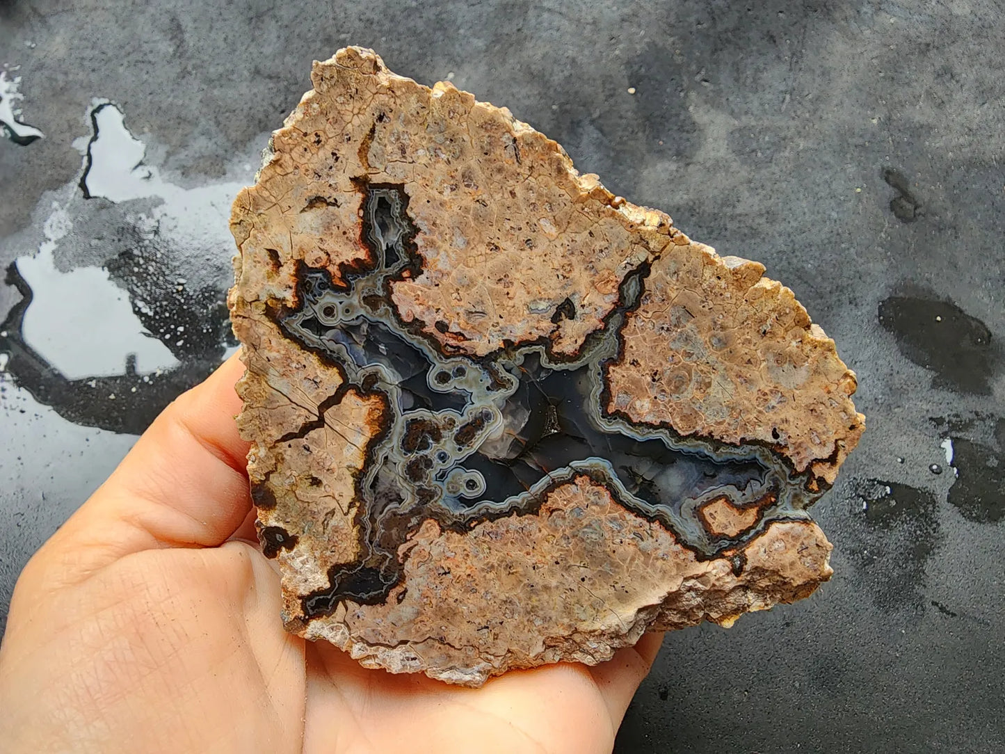 Rorschach Agate