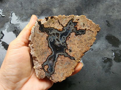 Rorschach Agate