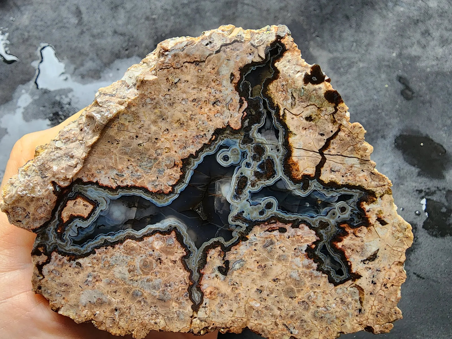 Rorschach Agate