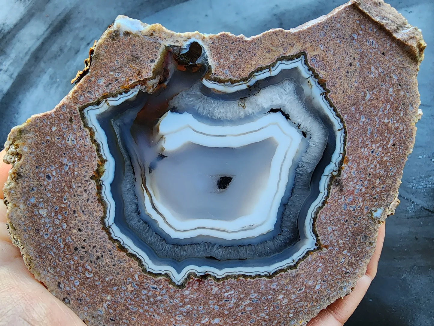 Viewing Stone Thunderegg