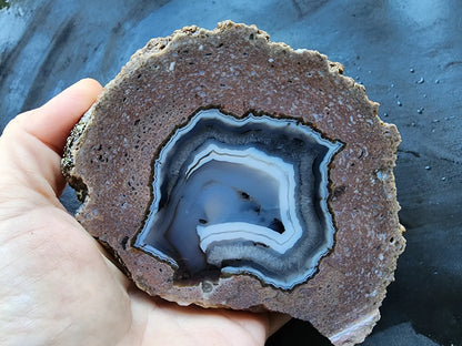 Viewing Stone Thunderegg