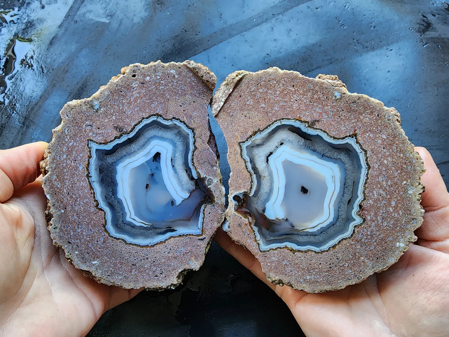 Viewing Stone Thunderegg