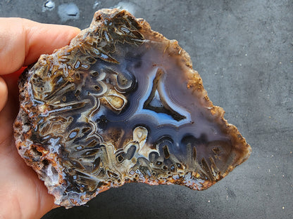 Blue Agate Pair