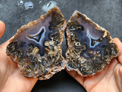 Blue Agate Pair