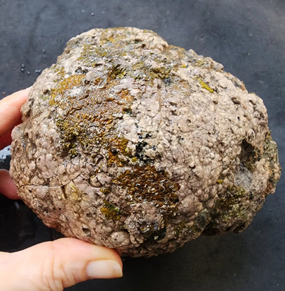 Uncut Thunder Egg - 3.7 Ibs