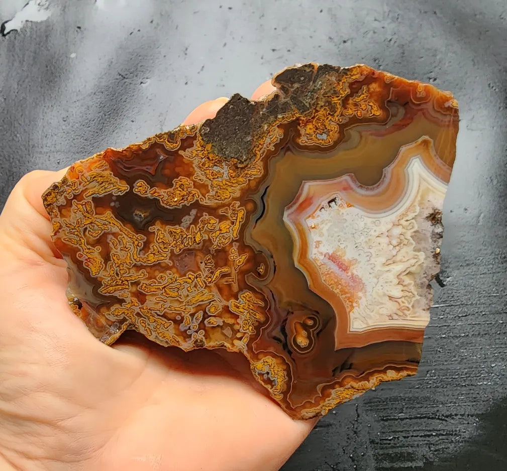 Plume Agate Pair