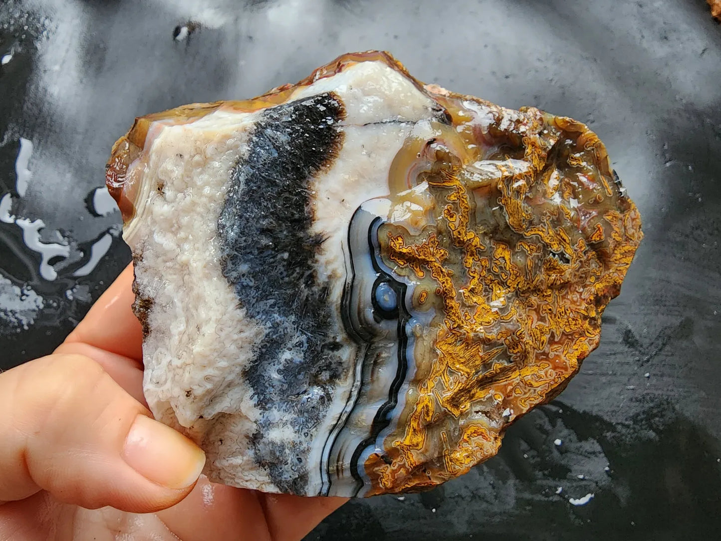 Plume Agate Pair