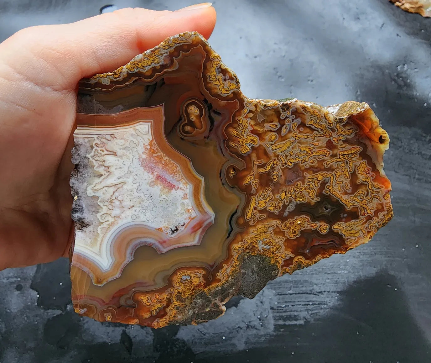 Plume Agate Pair