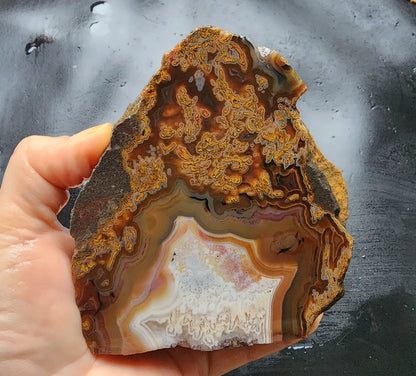 Plume Agate Pair