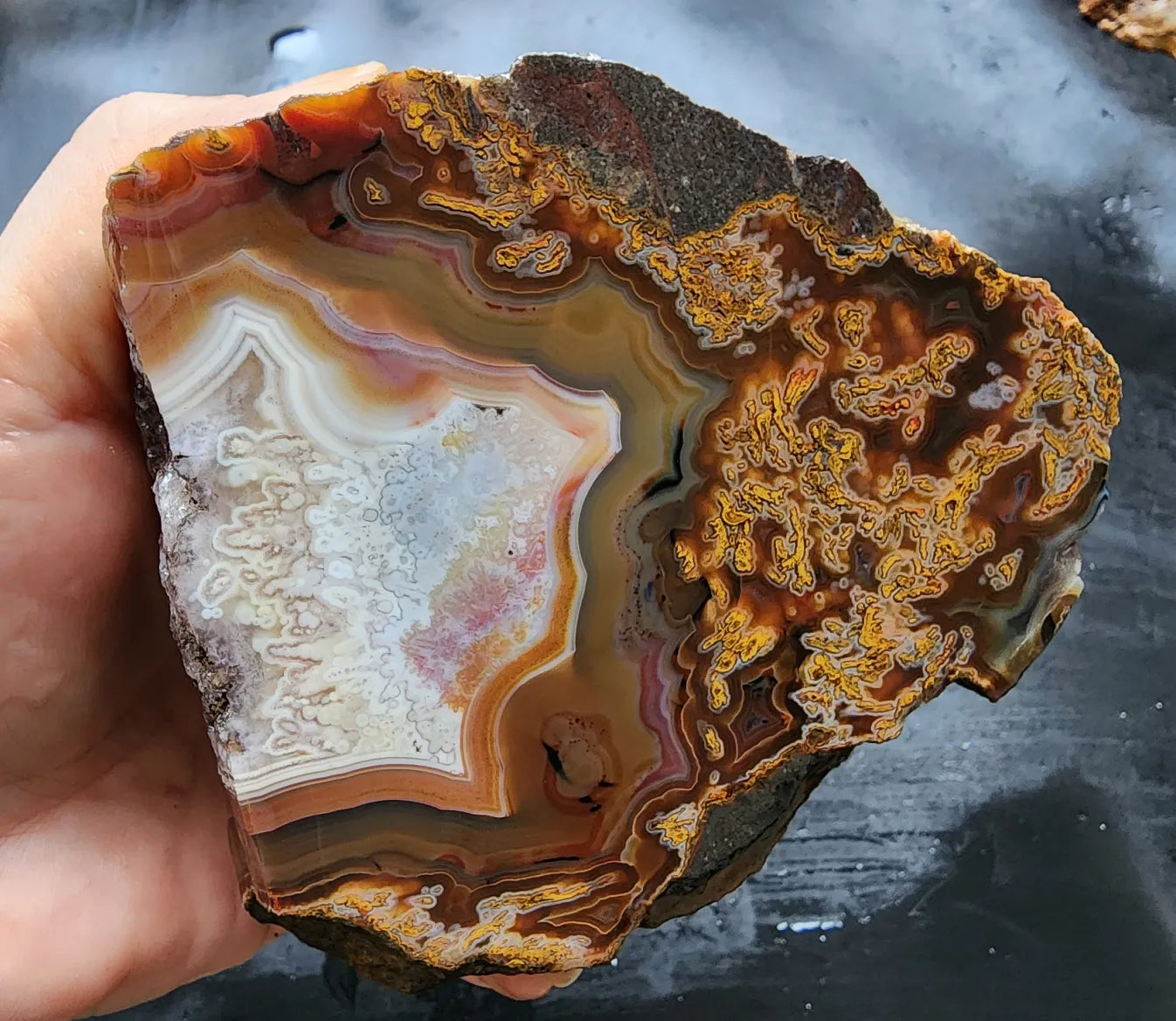 Plume Agate Pair