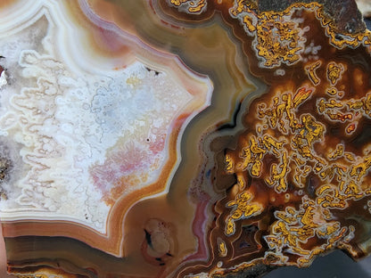 Plume Agate Pair