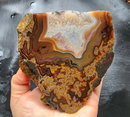 Plume Agate Pair