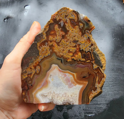 Plume Agate Pair