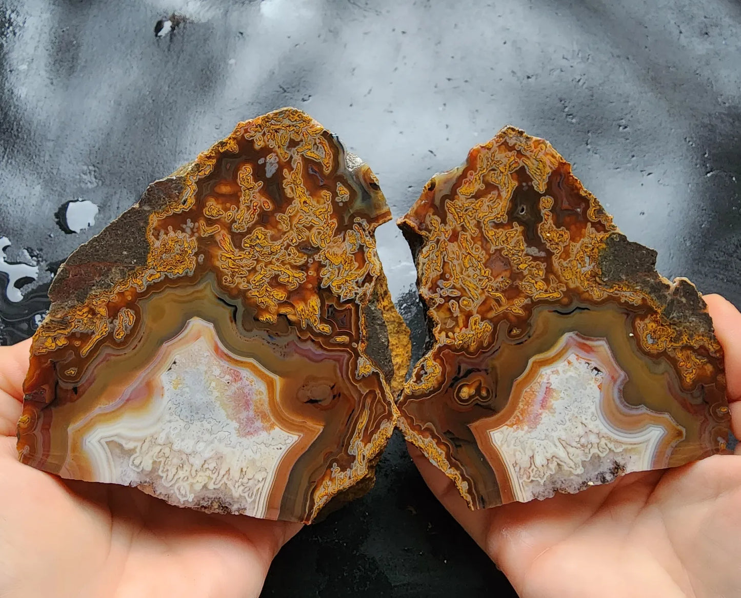 Plume Agate Pair