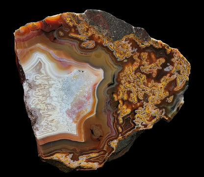 Plume Agate Pair