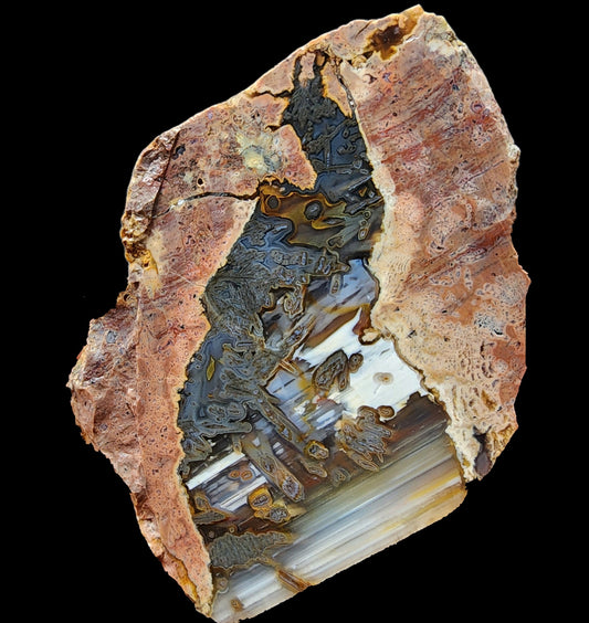 Suiseki Agate - Lord of Bugs